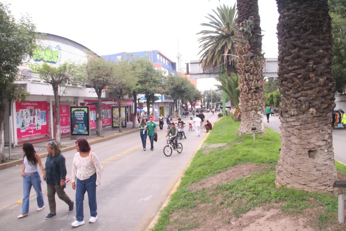 Suspenden Revo Peatonal por obras en avenida Madero de Pachuca