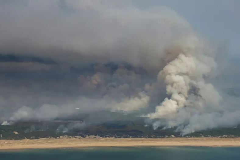 Incendios forestales amenazan Burdeos; Francia y España luchan contra las llamas