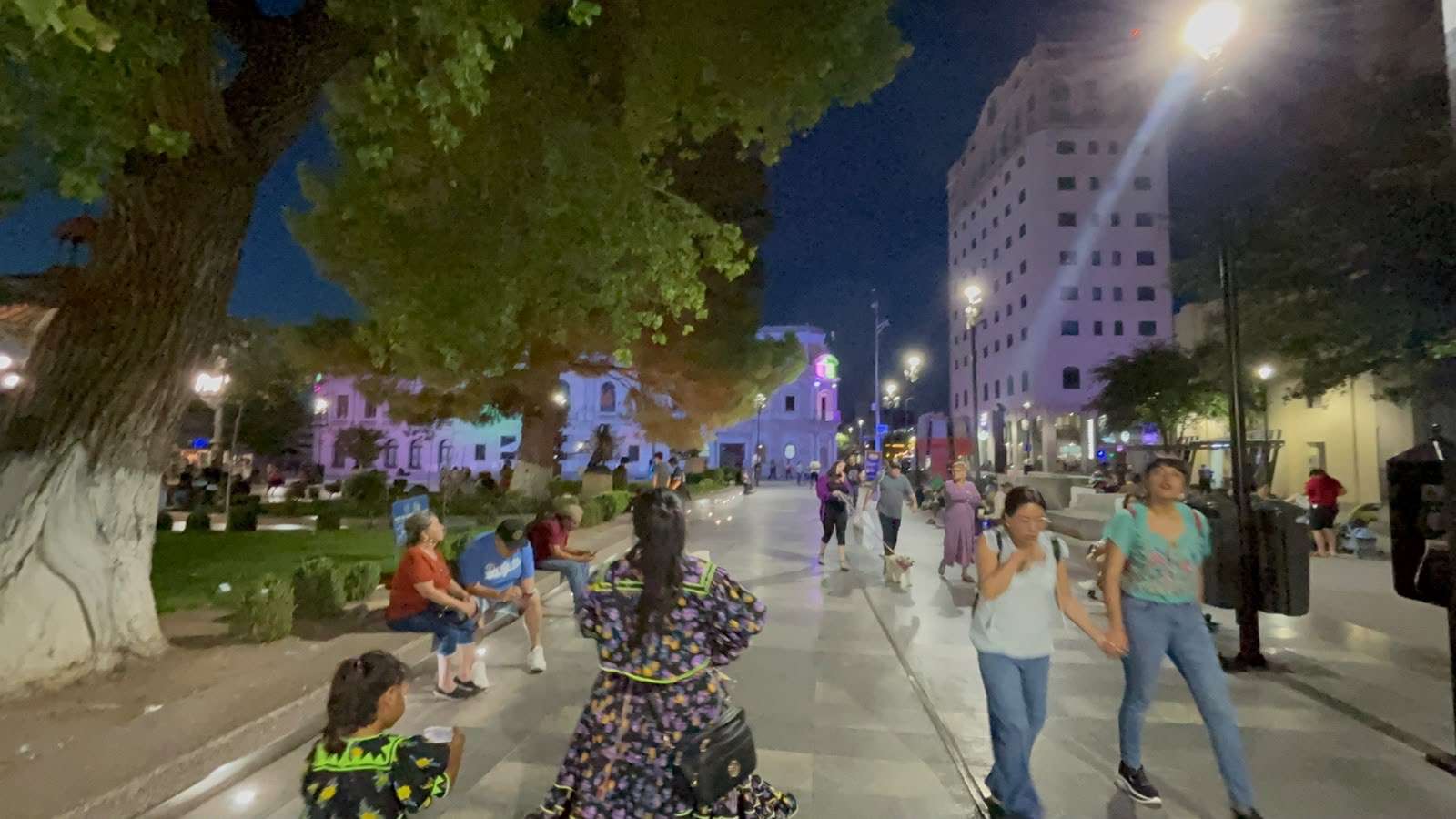 Apuestan por revitalizar el Centro Histórico