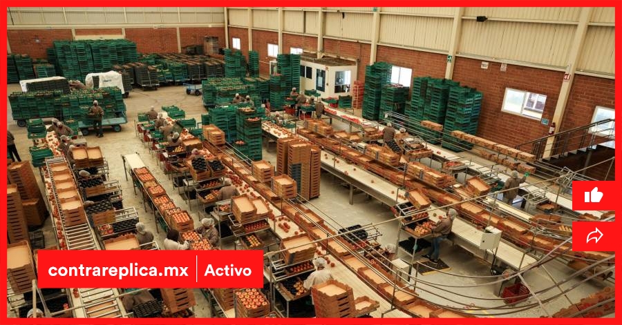 Exportaciones en México rompen récord en julio: Superan 80 mil millones de dólares