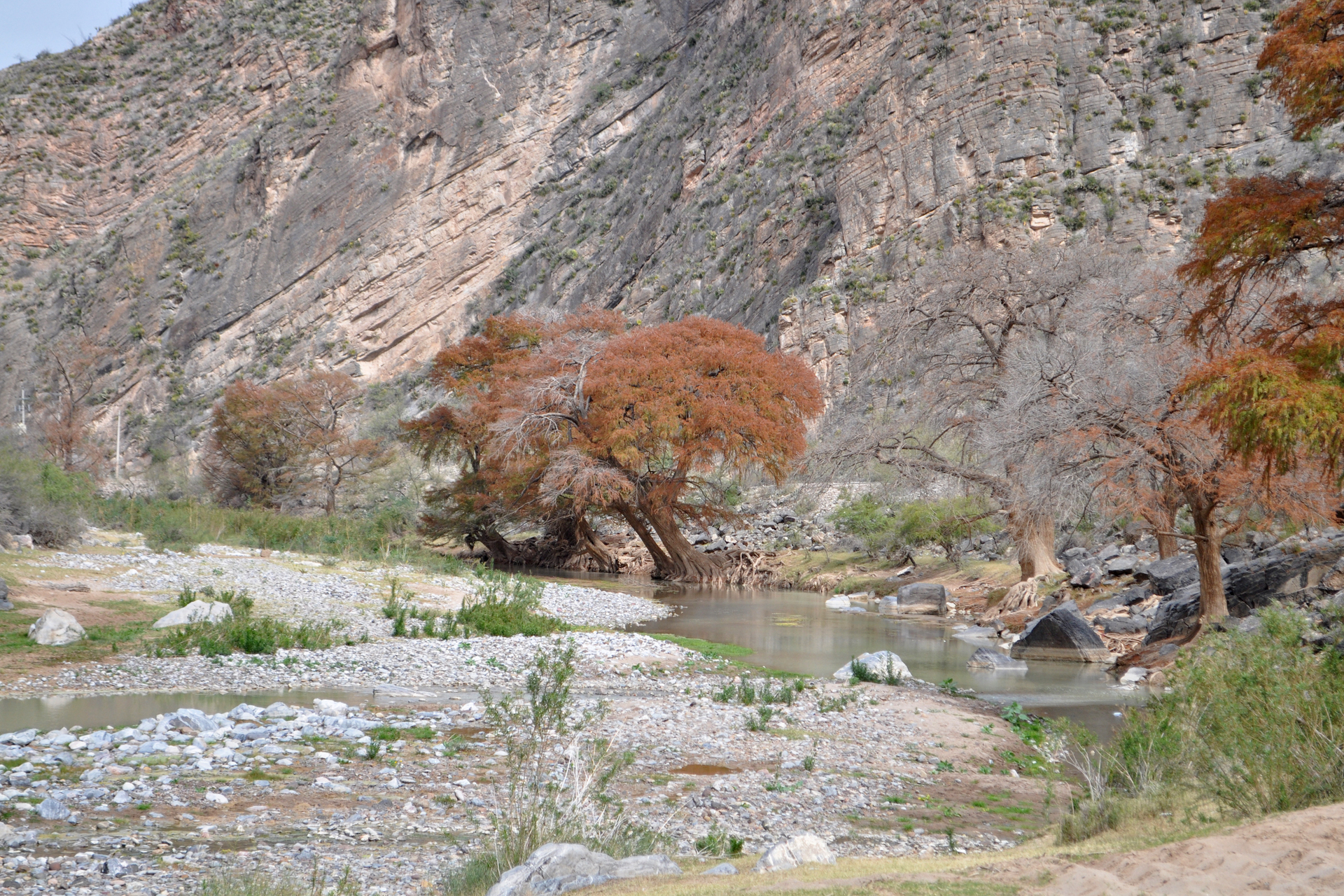 Promueven un ecoturismo responsable para preservar La Sierra y Cañón de Jimulco