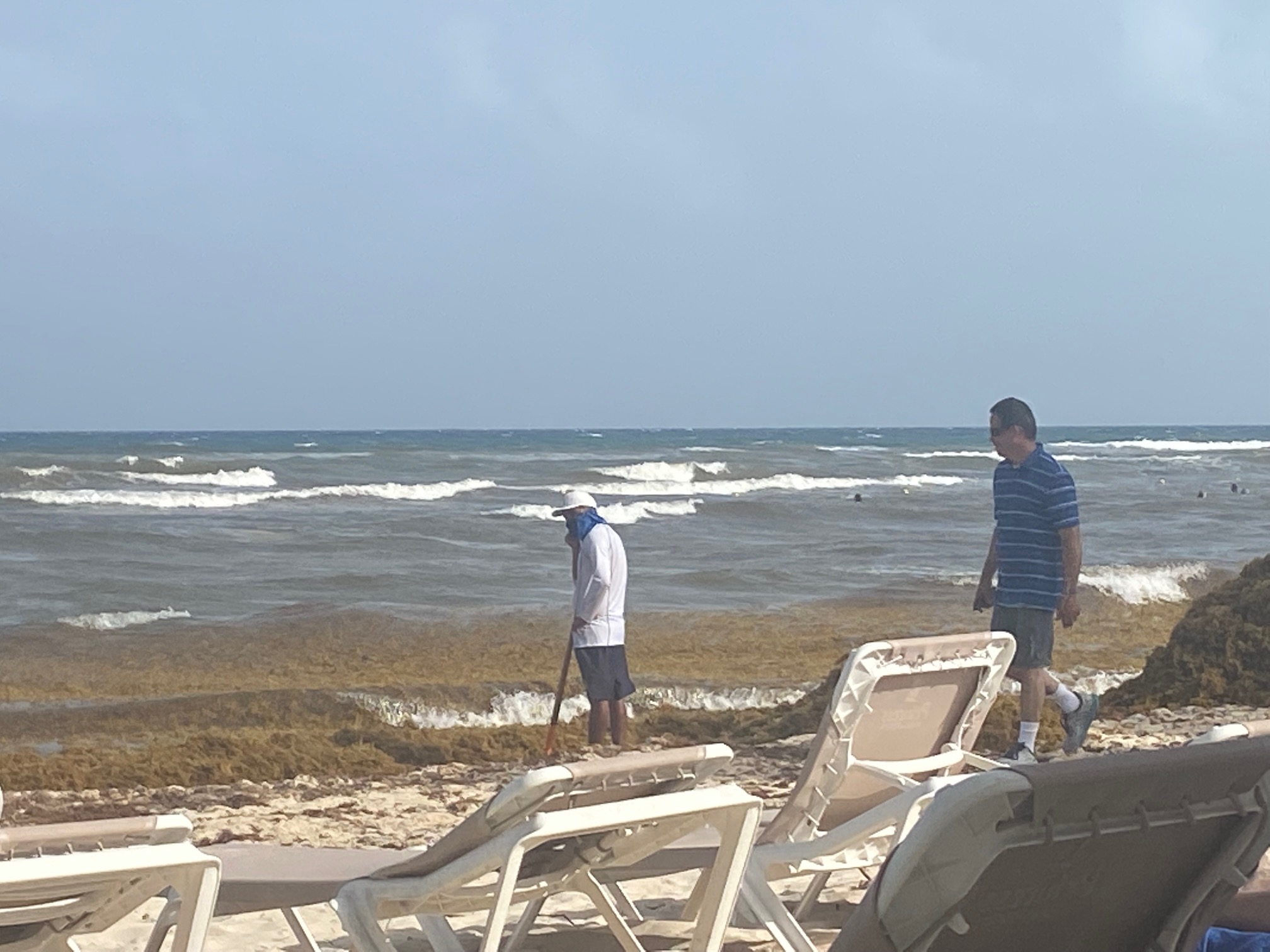 Hoteleros de Tulum analizan operar sólo cuando no sea temporada de sargazo