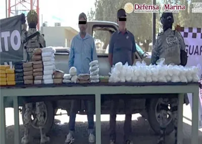 Aseguran más de 6 millones de dosis de droga en Sonora; 98 personas fueron detenidas en distintos operativos