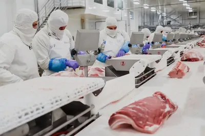 Ganaderos piden frenar nuevas importaciones de carne de res con arancel cero para 2027