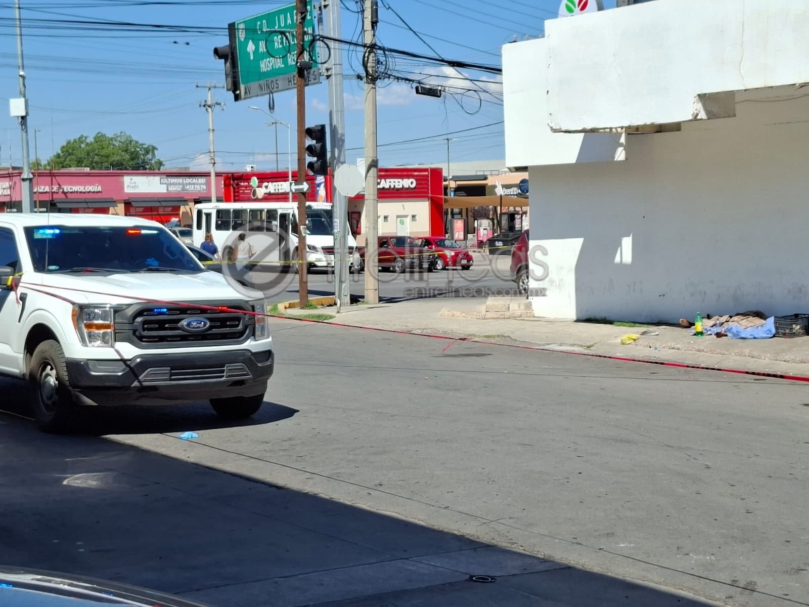 Iniciará Chihuahua dispersión de mosca estéril contra gusano barrenador
