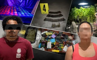 PGJE Reporta Cateo En Cabo San Lucas: Asegura 59 Plantas Y Detiene A Dos Personas