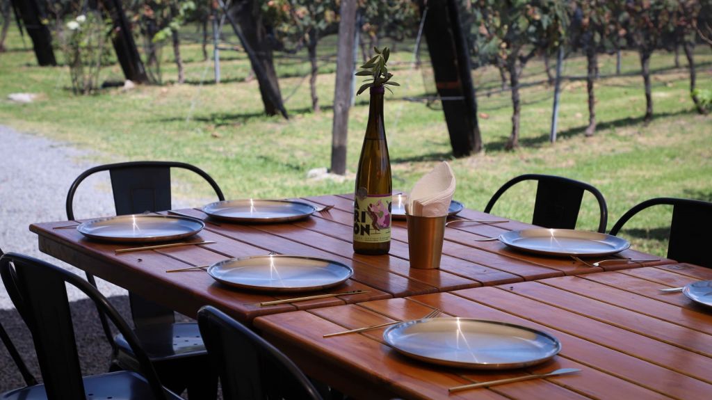 Bodega Barrigón se suma a la Ruta del Arte, Queso y Vino en El Marqués